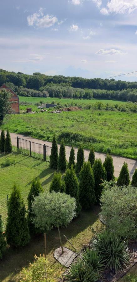 Przyjazny Domek Tarnowskie Góry Dış mekan fotoğraf